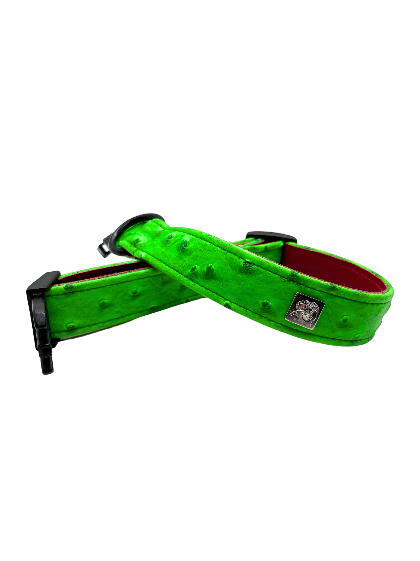 Neon Ostrich Pet Collars