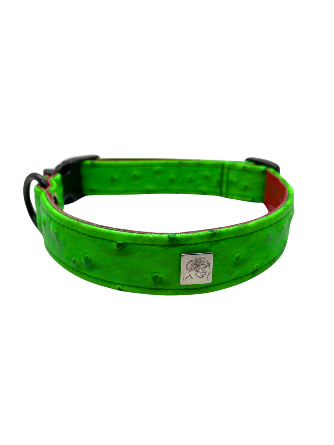 Neon Ostrich Pet Collars