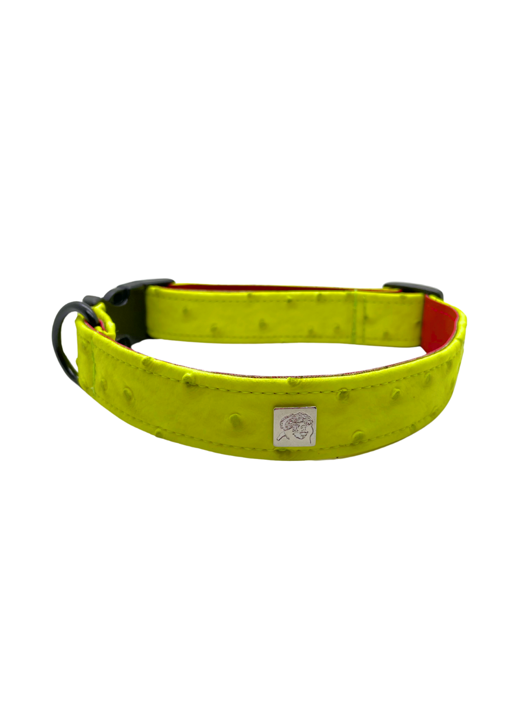 Neon Ostrich Pet Collars