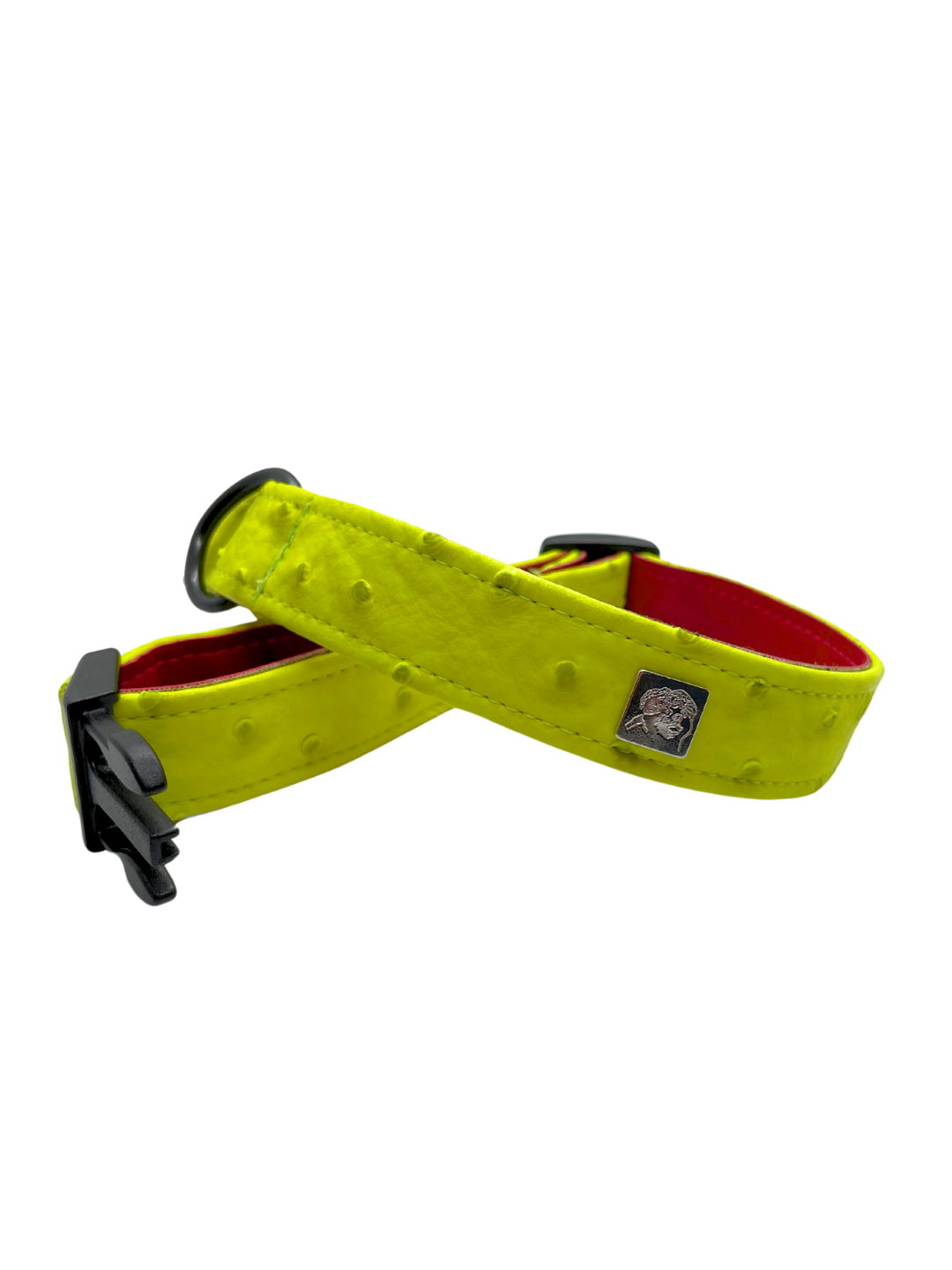 Neon Ostrich Pet Collars