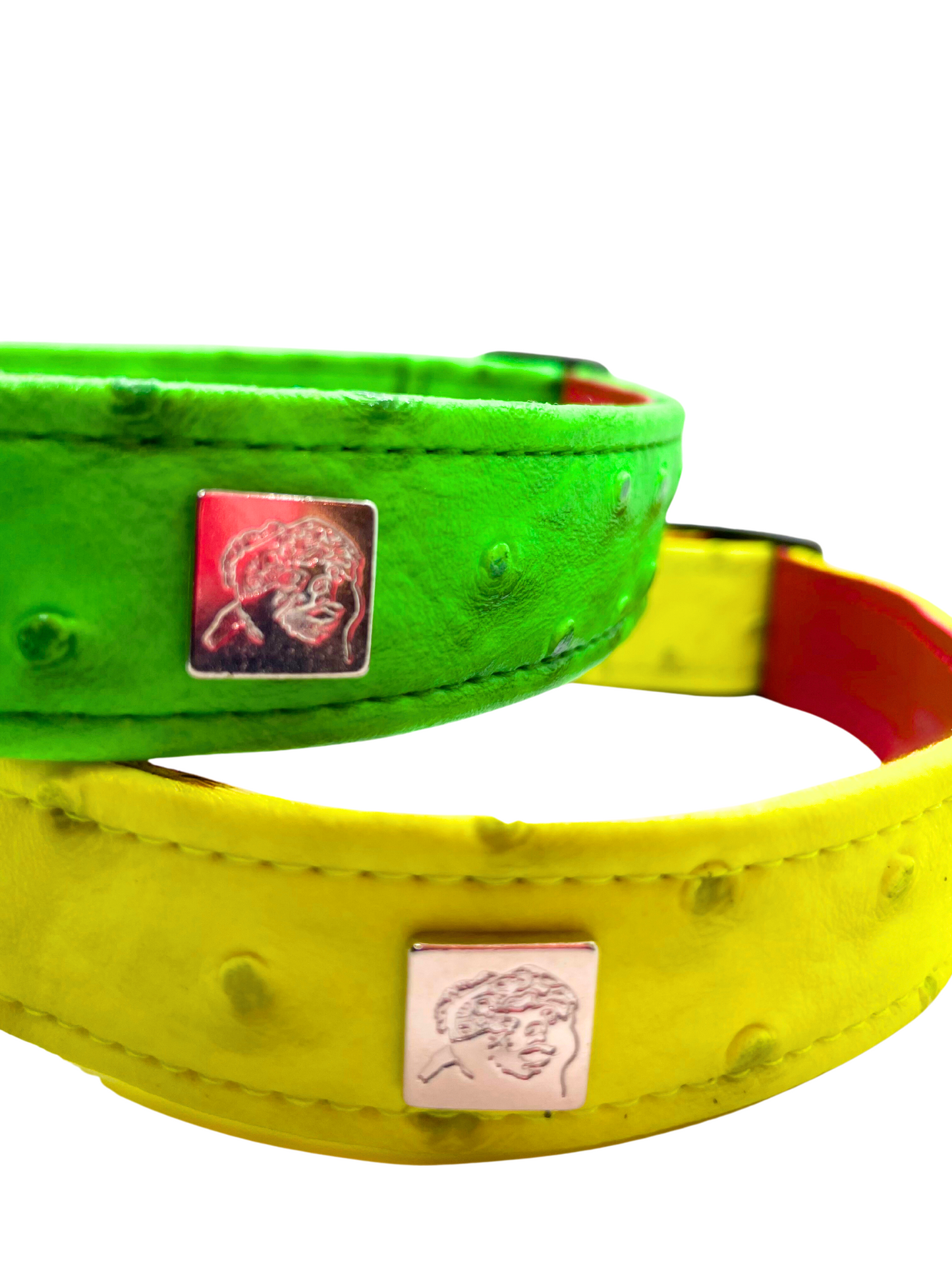 Neon Ostrich Pet Collars