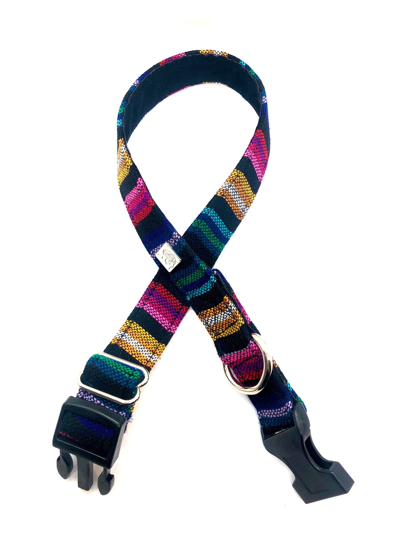 Latin Lover Pet Collars