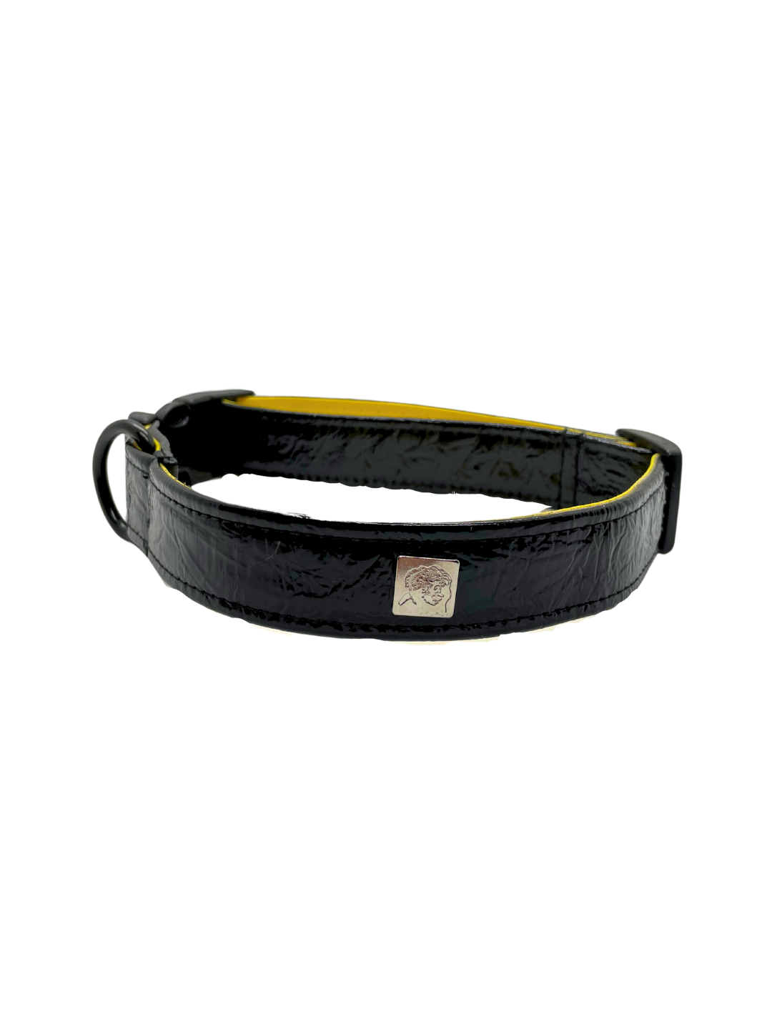 Vernice Sunshine Pet Collars
