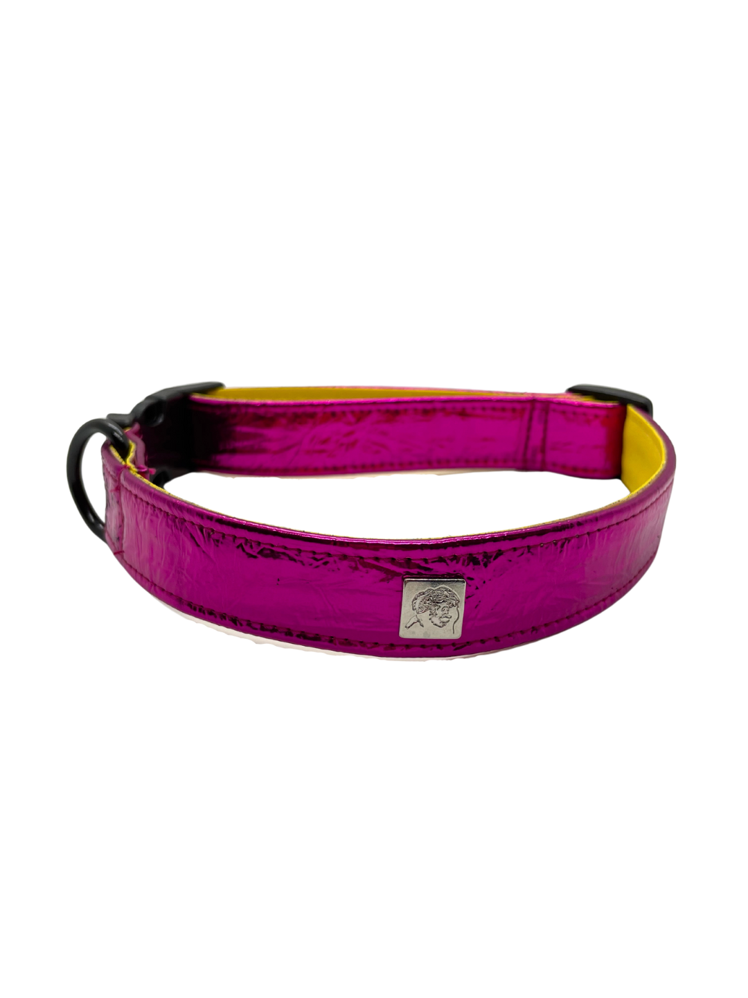Vernice Sunshine Pet Collars