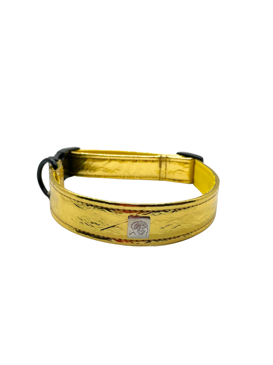 Vernice Sunshine Pet Collars