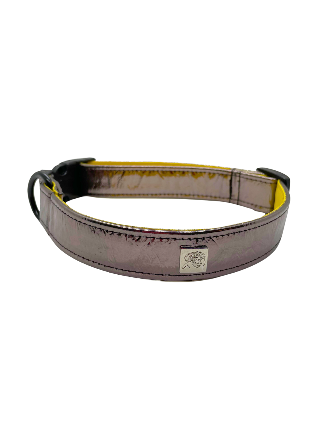 Vernice Sunshine Pet Collars