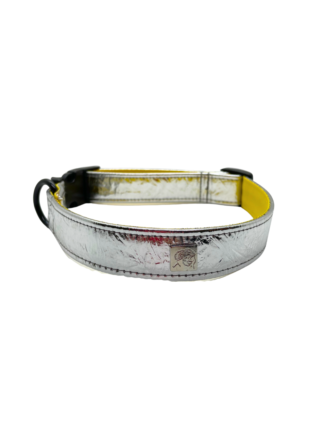 Vernice Sunshine Pet Collars