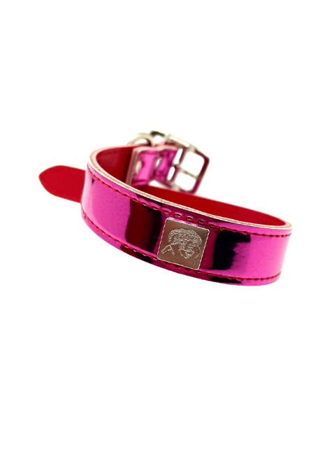 Reflective Fun Collars