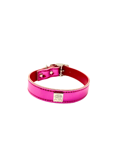 Reflective Fun Collars