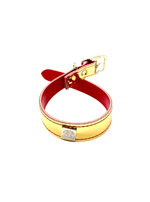 Reflective Fun Collars
