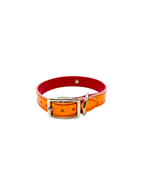 Reflective Fun Collars