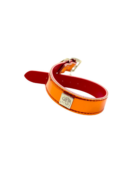Reflective Fun Collars