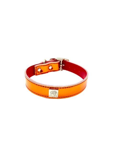 Reflective Fun Collars