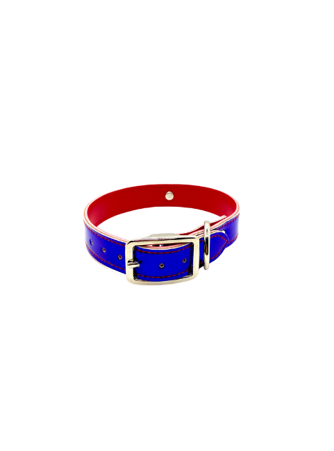 Reflective Fun Collars