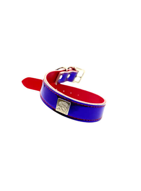 Reflective Fun Collars