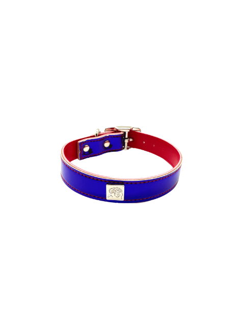 Reflective Fun Collars