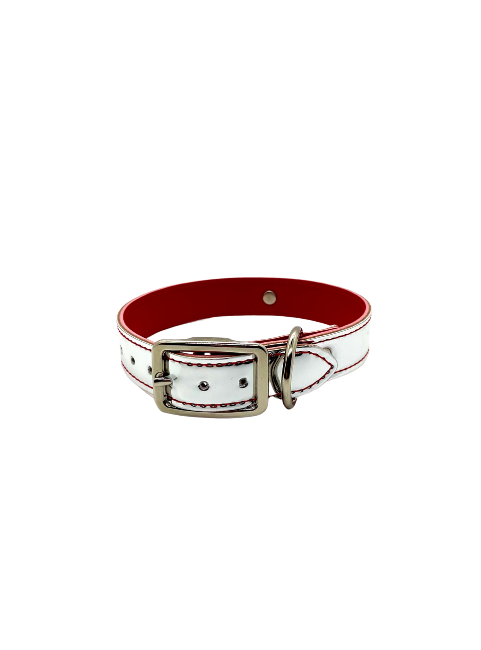 Reflective Fun Collars