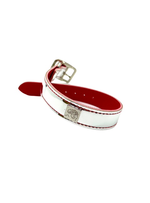 Reflective Fun Collars