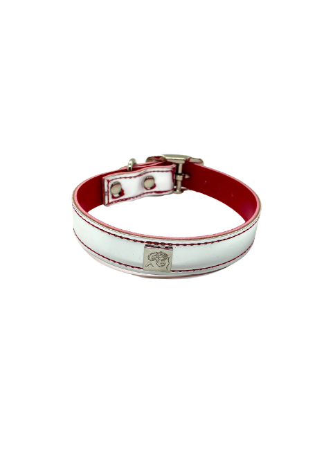 Reflective Fun Collars