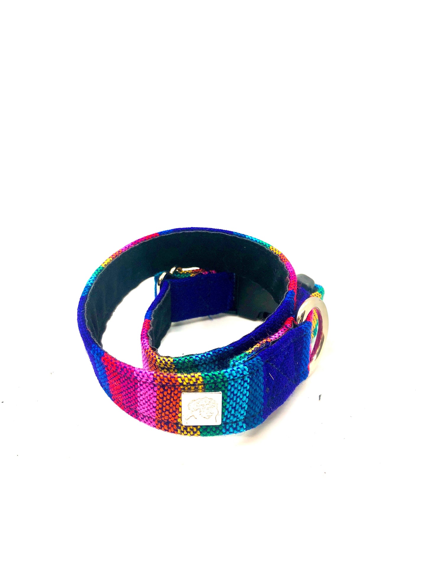 Latin Lover Pet Collars