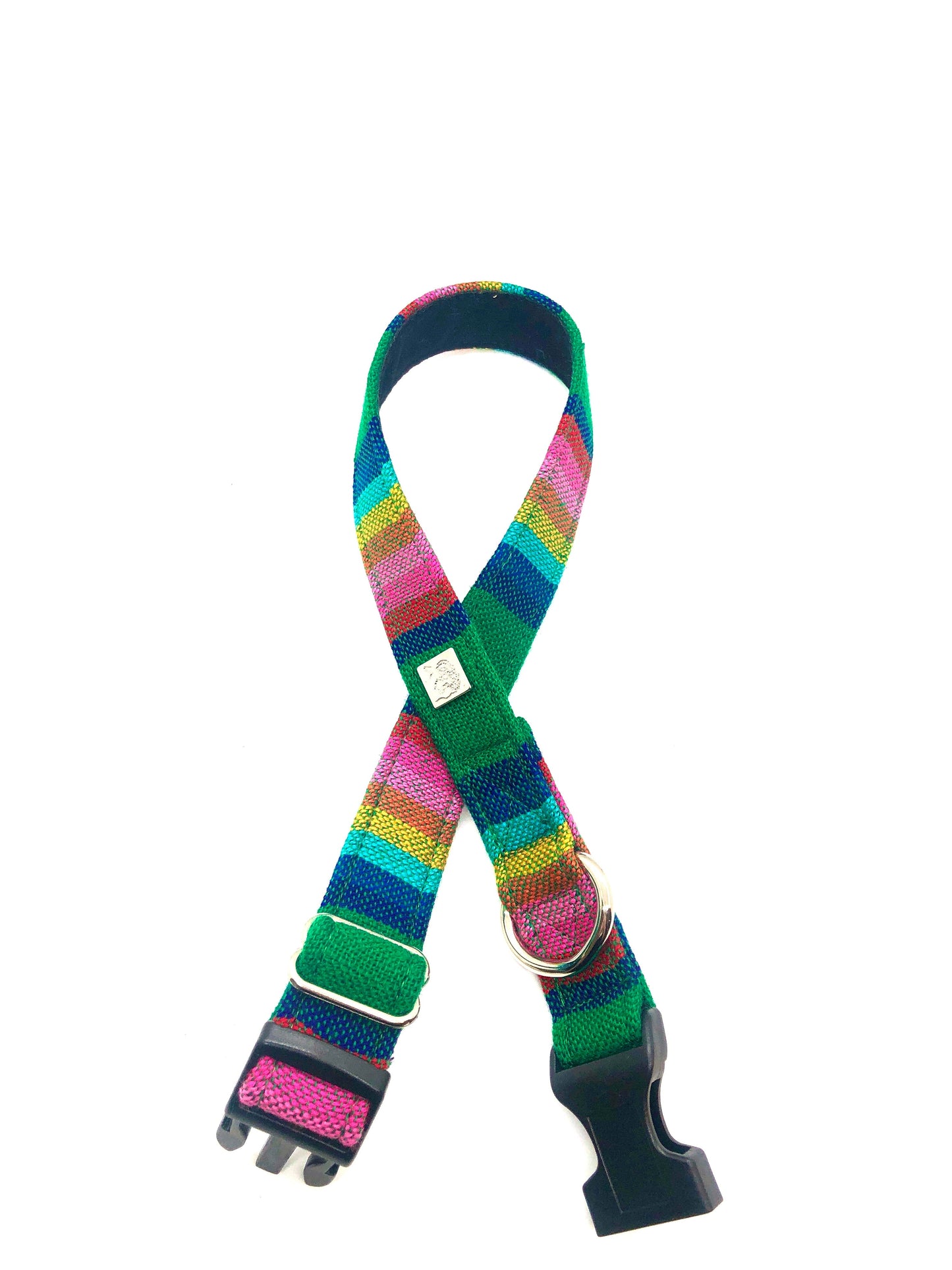 Latin Lover Pet Collars