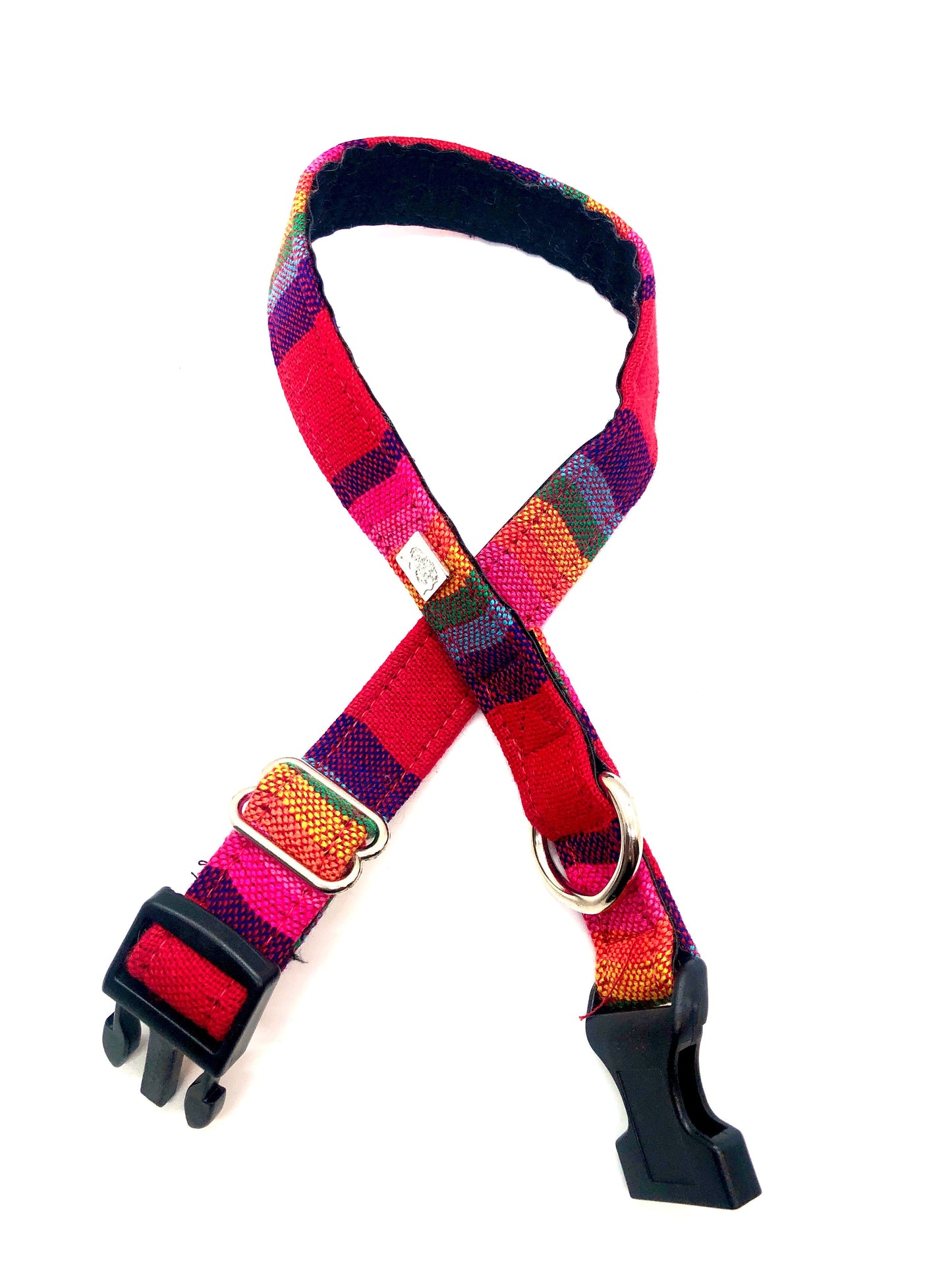 Latin Lover Pet Collars