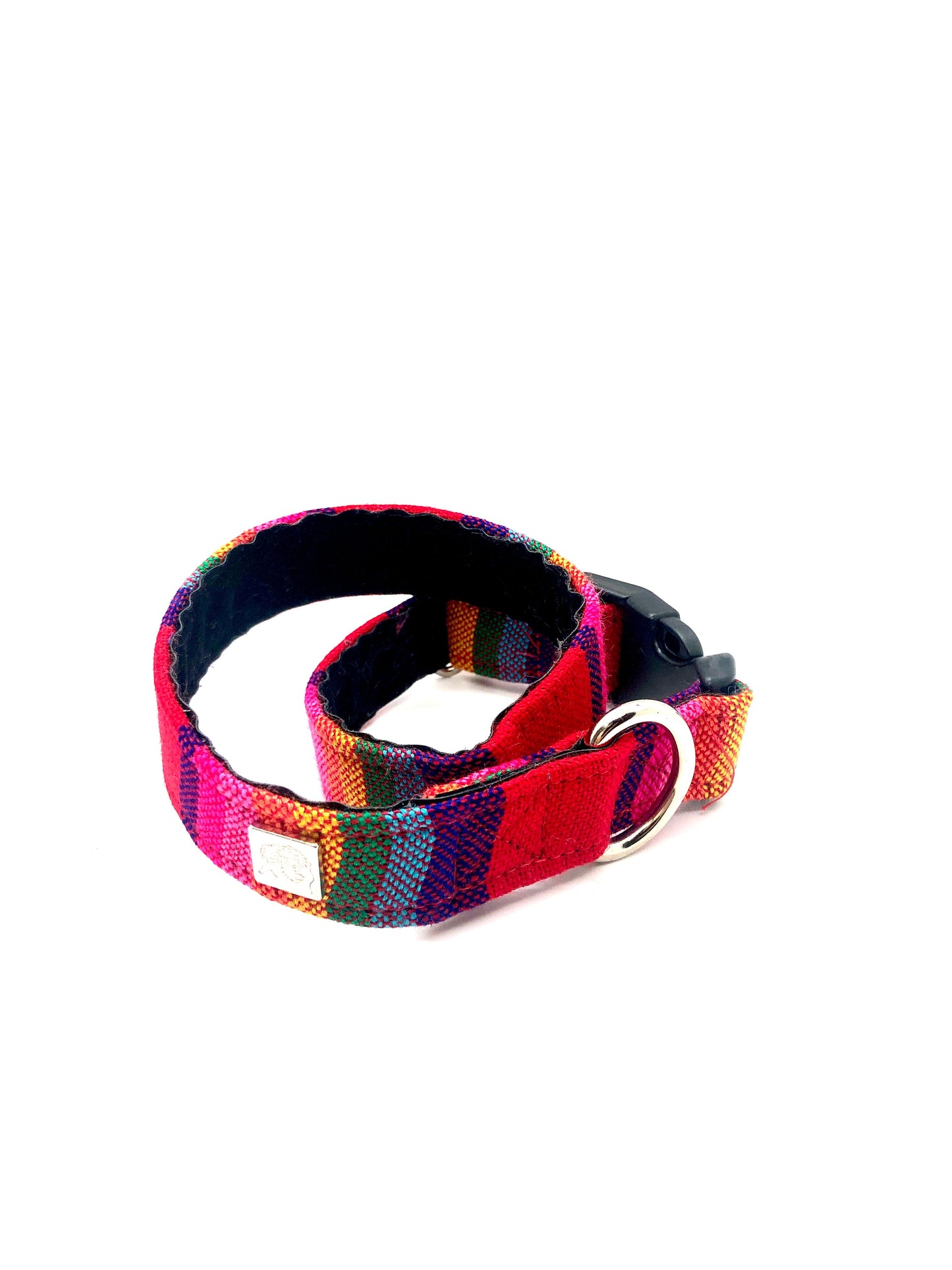 Latin Lover Pet Collars