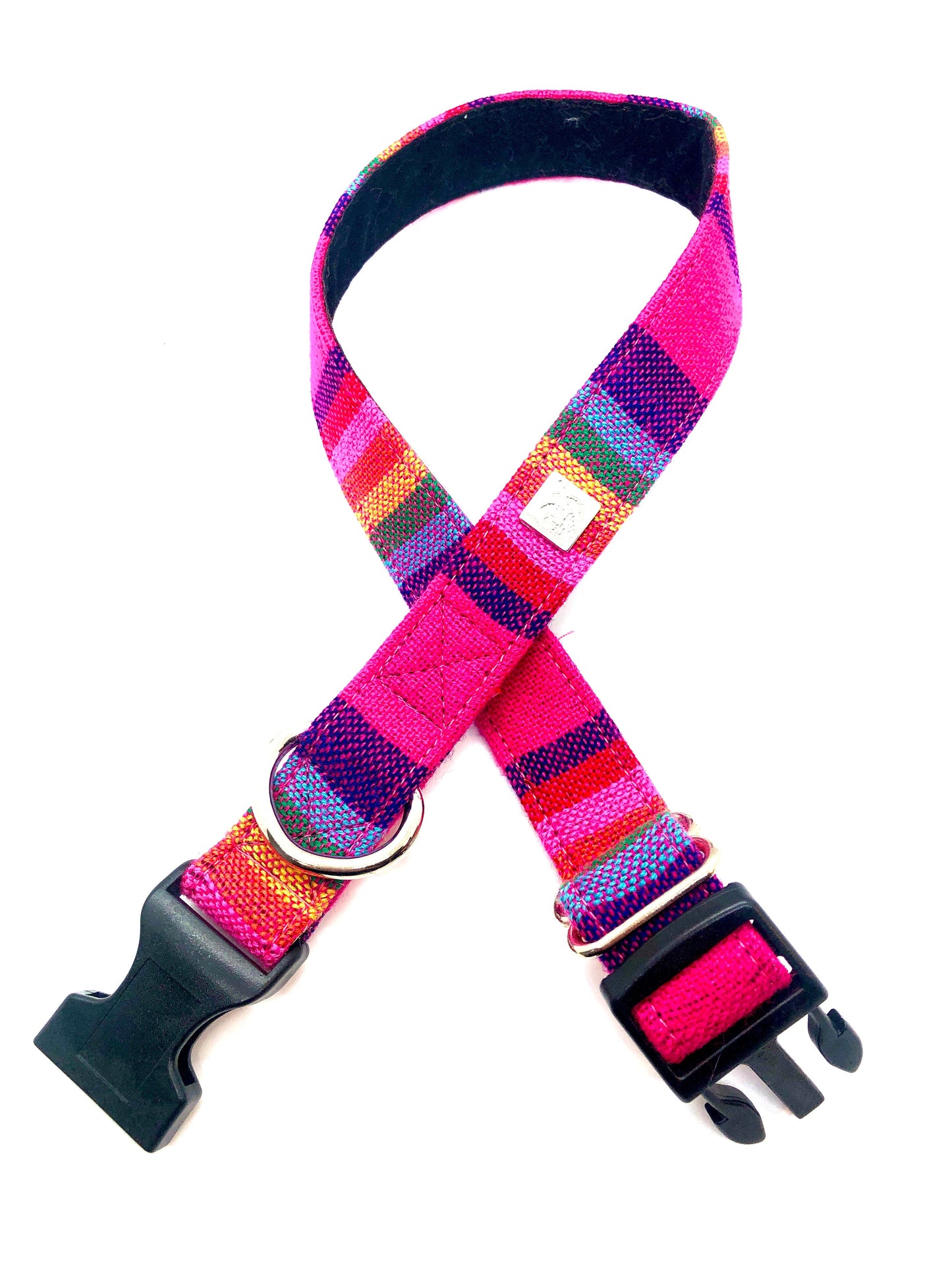 Latin Lover Pet Collars