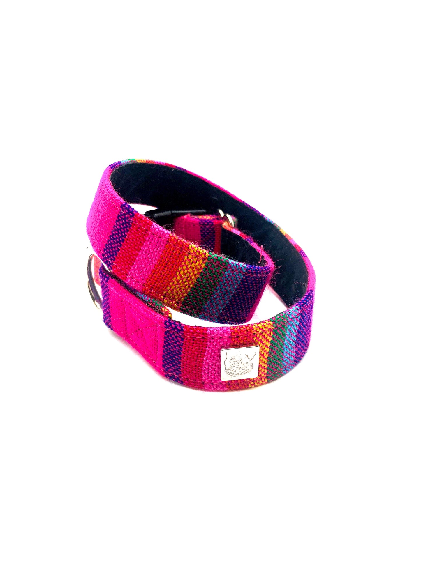 Latin Lover Pet Collars