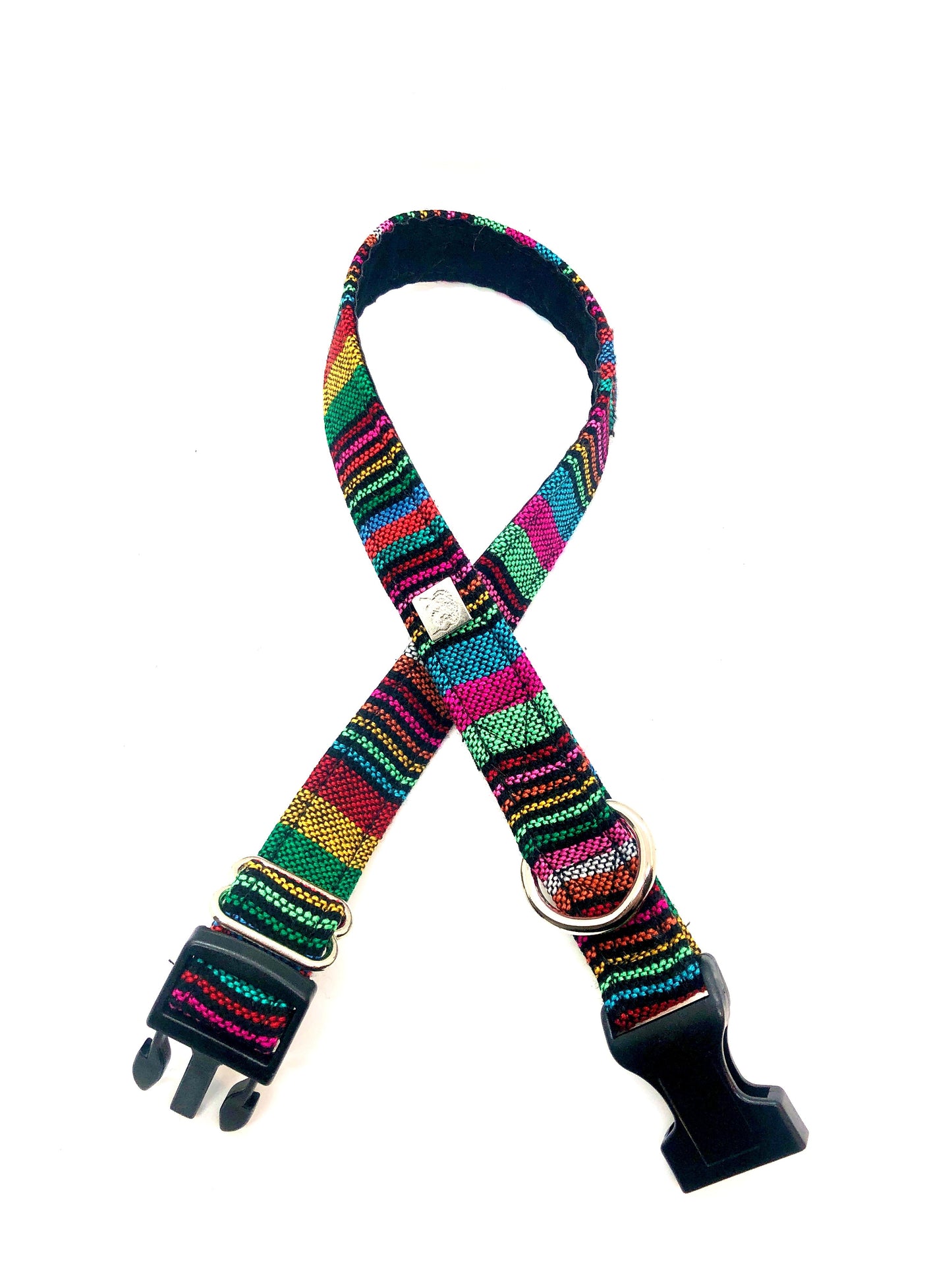 Latin Lover Pet Collars