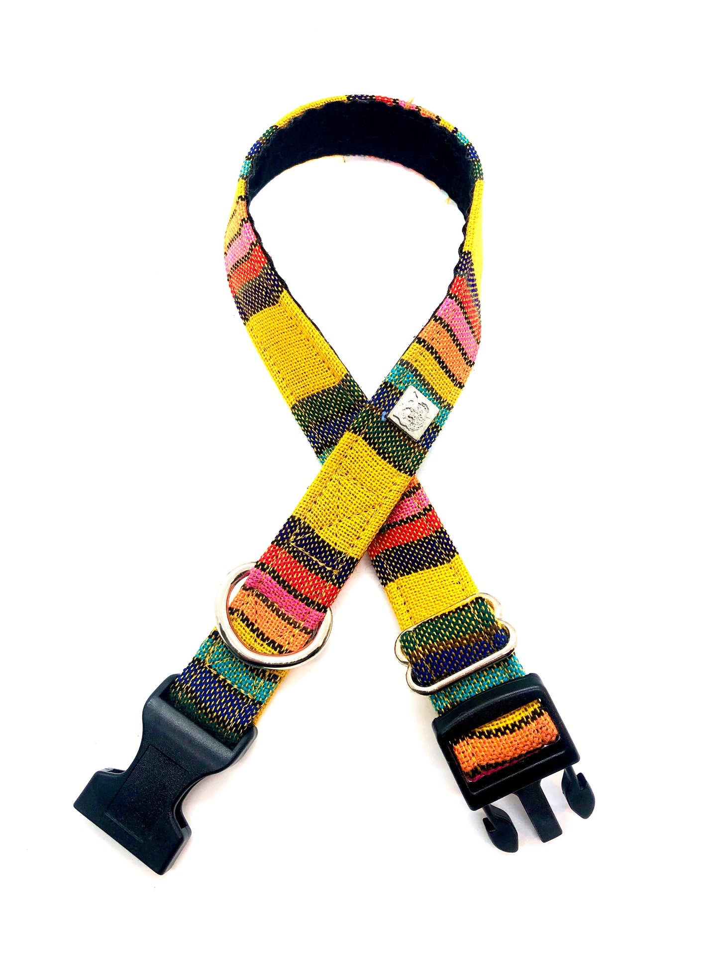 Latin Lover Pet Collars