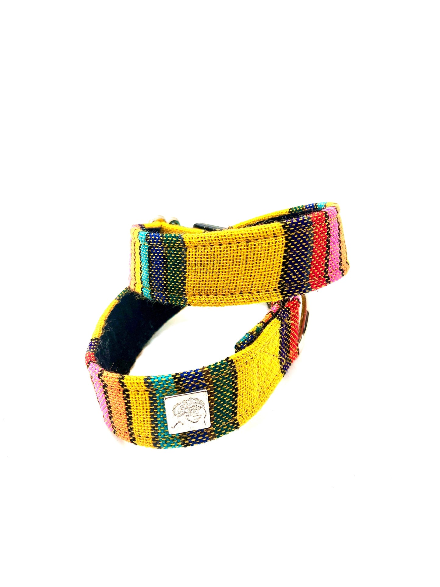 Latin Lover Pet Collars